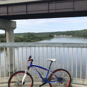 2011 Devinci Blue