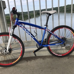 2011 Devinci Blue