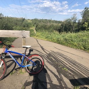 2011 Devinci Blue