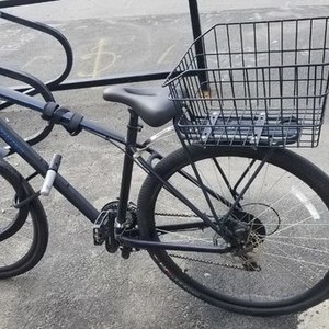 2019 Specialized Ariel Black