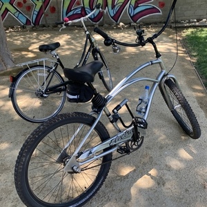 2010 Electra Silver, gray or bare metal