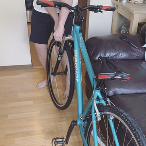 2020 Mercier Elle Adventure Teal