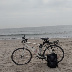 Specialized Sirrus White