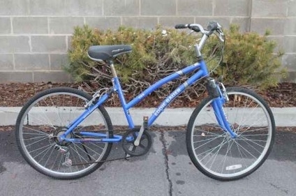eddie bauer 7005 aluminum bike price