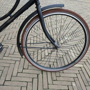 Batavus Old Dutch Black