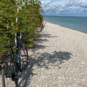 2020 Trek Black