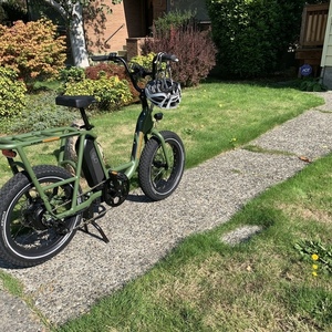 2020 Rad Power Bikes Radrunner 1 Green