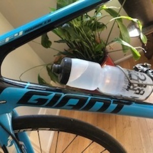 2015 Giant Defy Blue