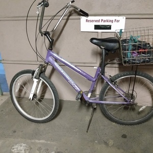 Women's customized Mountain Bike Women's Mountain Bike 24 Purple
