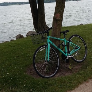 2019 Trek Model: FX 2. Frame: Upright / Alpha G... Teal