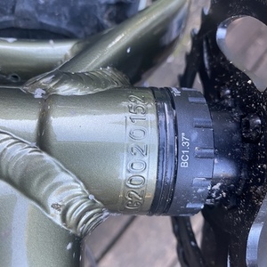 2020 Salsa Mukluk Green