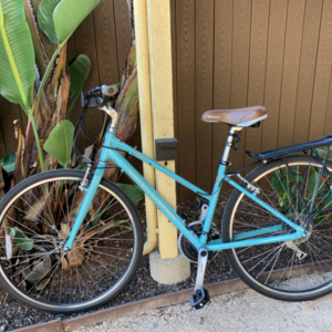 2019 Bianchi Torino Dama Blue