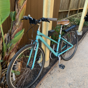 2019 Bianchi Torino Dama Blue