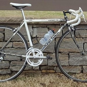 1990 Diamondback Expert TG Centurion White and Black