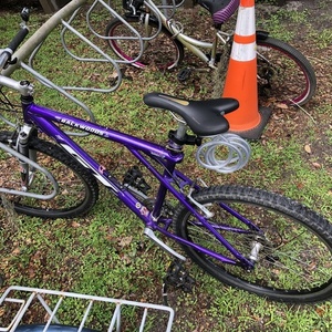 1995 GT Bicycles Backwoods Purple