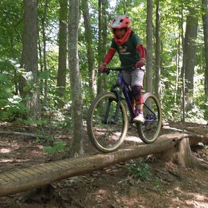 2019 Trailcraft Big Mesa Purple