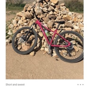 2019 Norco Bikes Charger 2 Pink