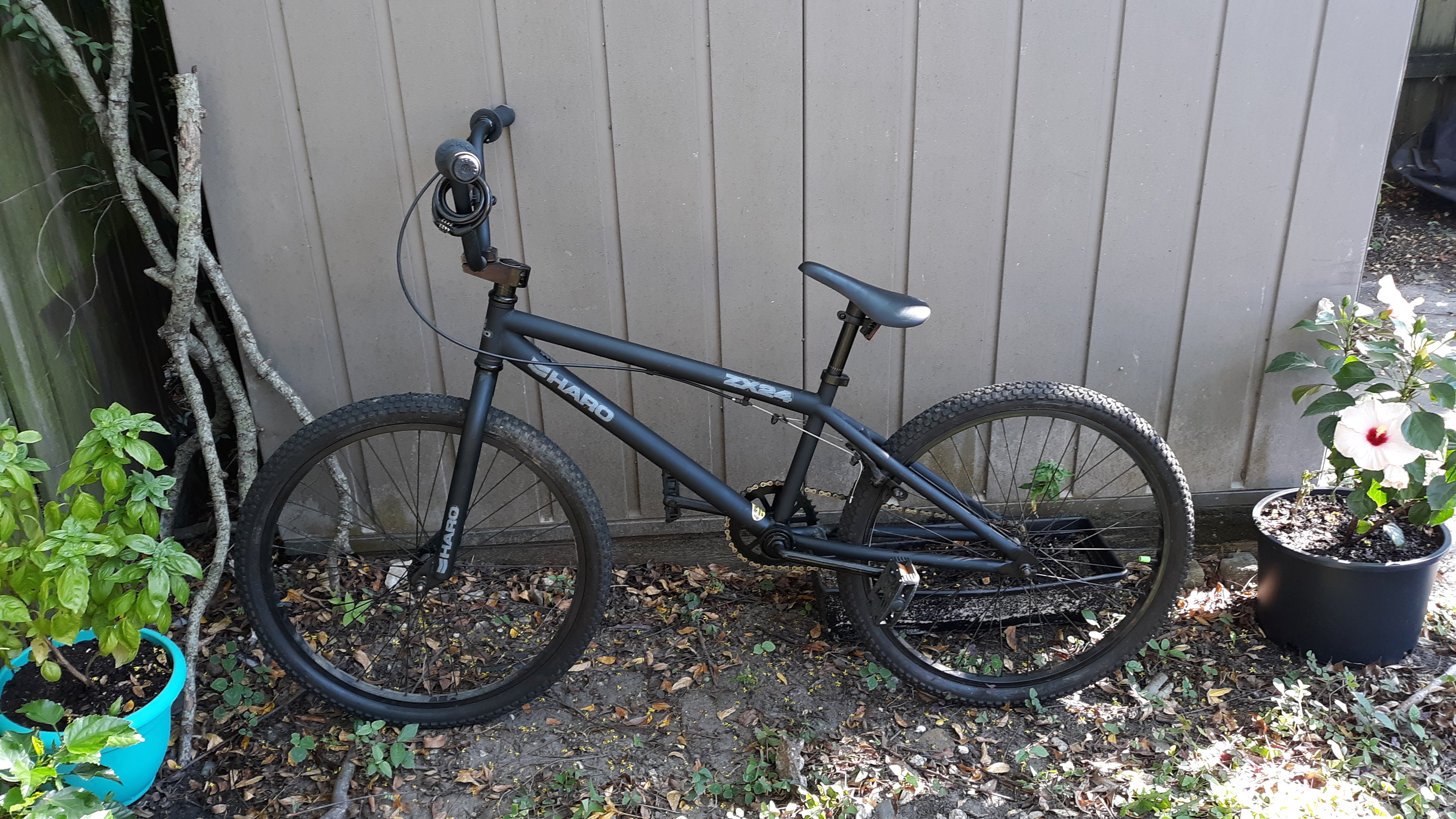 haro zx24