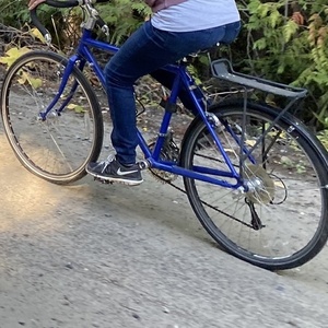 2011 Surly Long Haul Trucker Blue