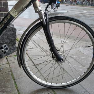 Batavus Weekend Black