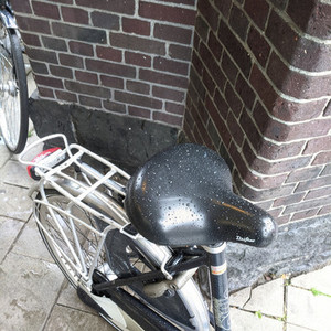 Batavus Weekend Black