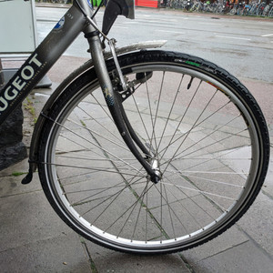 Peugeot Country Silver, gray or bare metal