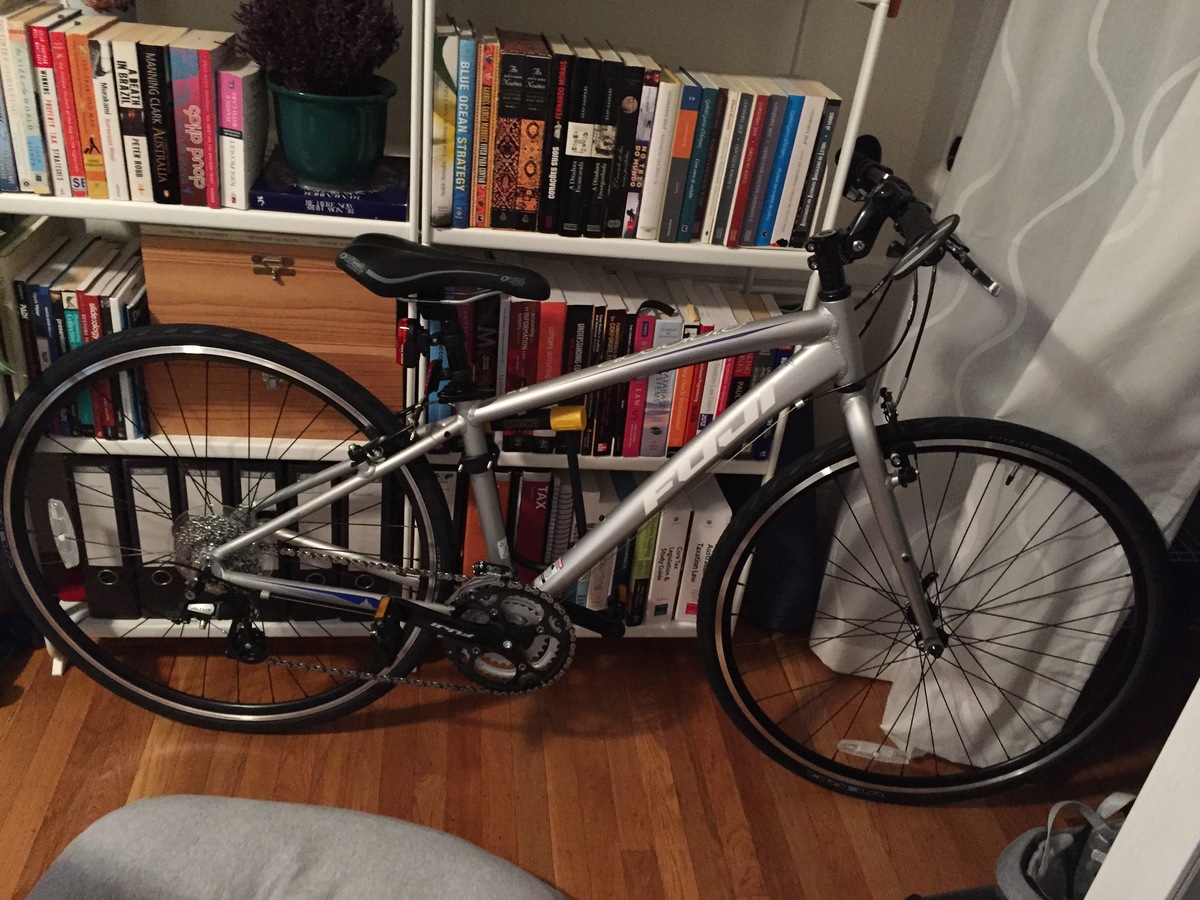 2015 Fuji Absolute 3.0 LE