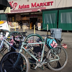 Surly Long Haul Trucker Teal