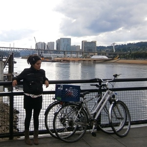 Unknown Silver or Gray