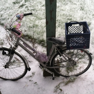 Unknown Silver or Gray