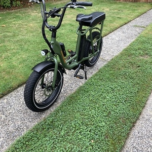 2020 Rad Power Bikes Radrunner 1 Green