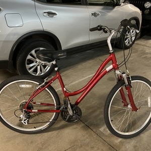 Raleigh Venture 3d Red