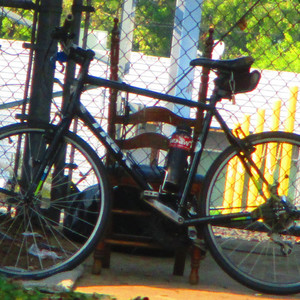 2019 Trek FX 1 Black