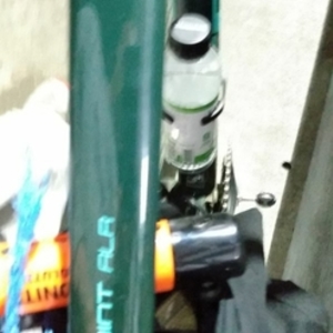 2020 Trek ALR 5 Green