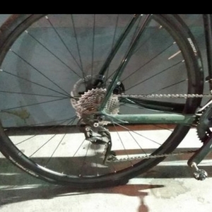 2020 Trek ALR 5 Green