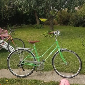 2013 Giant Via 2 W Green