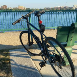 2019 Specialized Black and Blue