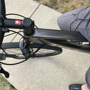 2019 Trek Women's Dual Sport 4 Silver, gray or bare metal