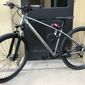 2019 Trek Women's Dual Sport 4 Silver, gray or bare metal