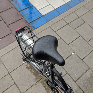 Other Neuzer Folding Series Black