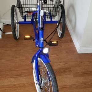 2020 Four Corners Sourcing Adult Tricycle Blue