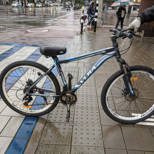 Other VLRA SRX66 Silver, gray or bare metal