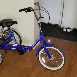 2020 Four Corners Sourcing Adult Tricycle Blue