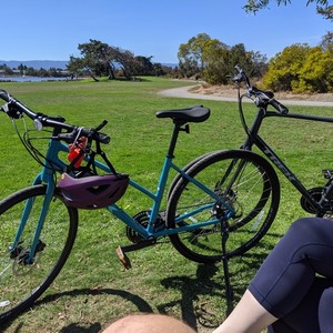 2020 Trek FX2 Stagger Teal