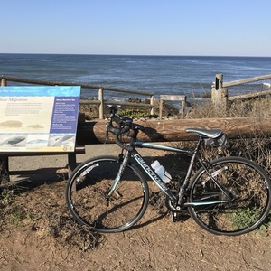 2013 Cannondale Silver, gray or bare metal and Blue