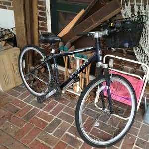 Schwinn Trailway Blue