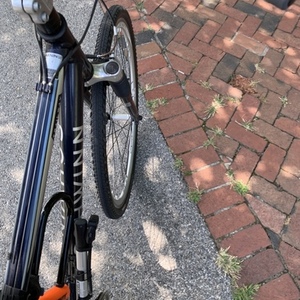 Schwinn Trailway Blue