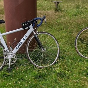Santa Cruz White