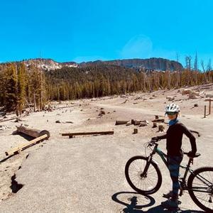 2020 Cannondale Tango 3 (smart form c3 alloy) Green