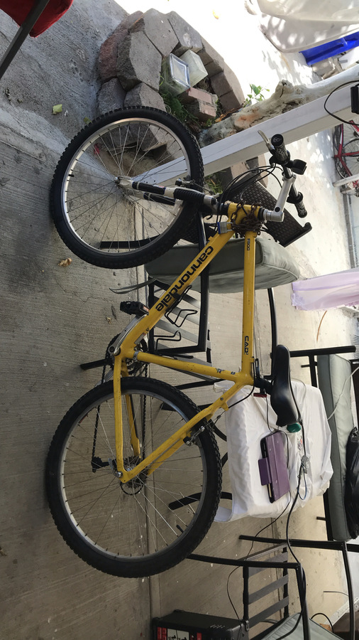 Bike photo